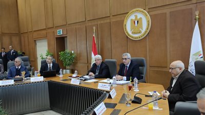 التعليم العالي: إنشاء فرعين لجامعة القاهرة في الدوحة والرياض