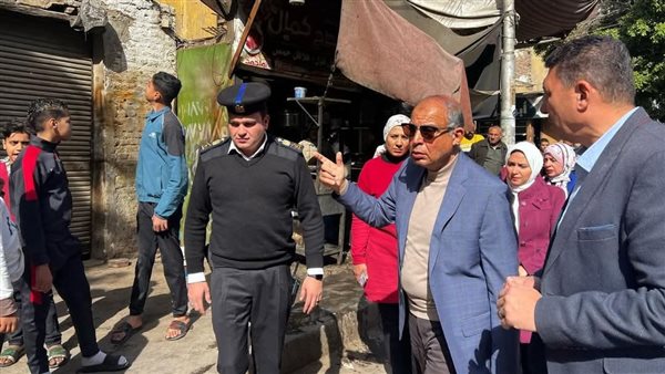 محافظ المنيا