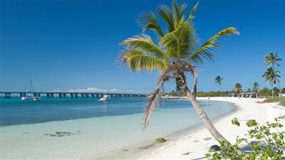 الاحتشام في الملابس وحظر النوم.. قواعد صارمة تطبقها شواطئ أمريكية في إجازة الربيع