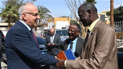 وزير الري: نحرص على إبقاء قضية السد بين مصر والسودان وإثيوبيا دون استدراج لدول حوض النيل