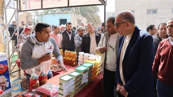 محافظ المنيا