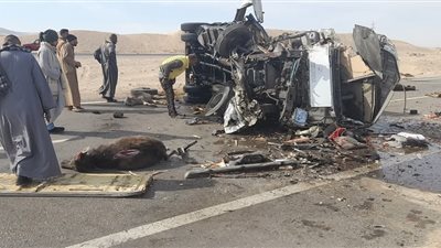 إصابة سائق ونفوق عدد من الماشية في انقلاب سيارة على صحراوي قنا
