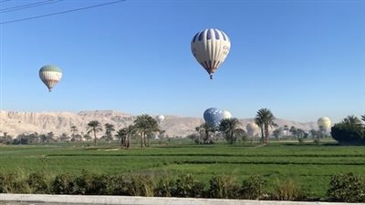 برغم الأمطار.. 55 رحلة بالون طائر تحلق في سماء الأقصر