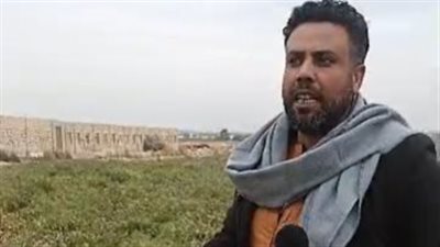 مزارعو الطماطم بالمنيا يستغيثون: بيوتنا اتخربت ومش هنزرع تاني| بث مباشر 