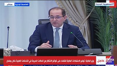 وزير المالية: إطلاق صندوق بـ10 مليارات جنيه لتوفير فرص العمل للشباب