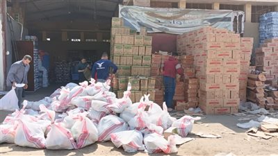 شيكارة رمضان.. مبادرة خيرية تتحدى الحاجة وتعيد رسم ملامح العطاء في المنوفية