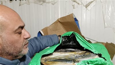 ضبط نصف طن أسماك غير صالحة للاستهلاك الآدمي في مركز الشهداء بالمنوفية
