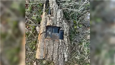 داخل الأشجار.. الجيش اللبناني يعثر على أجهزة تجسس إسرائيلية