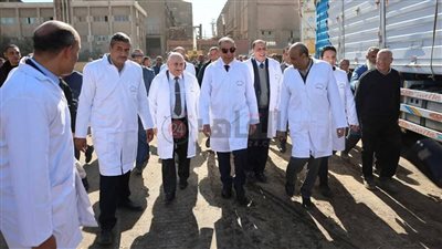 شركة السكر تعلن موعد بدء توريد محصول بنجر السكر بالمنيا 