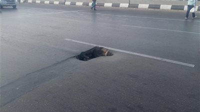 بعد نشر القاهرة 24.. مصدر بهيئة الطرق والكباري عن الهبوط الأرضي بالطريق الدائري: جارٍ اتخاذ الإجراءات اللازمة