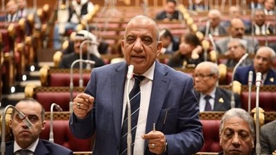 الكهرباء: التعاقد مع أحد المكاتب الاستشارية العالمية للقضاء على أزمة سرقة التيار