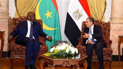 وزير الخارجية يلتقي نظيره الموريتاني لبحث التعاون بين البلدين 