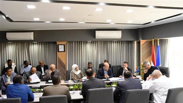 محافظ أسوان