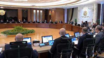 خلوها بالكهرباء.. مقترح لـ تحديث أسطول سيارات الحكومة البنزين والسولار 