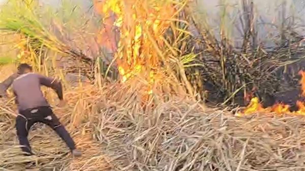 نشوب حريق في محصول