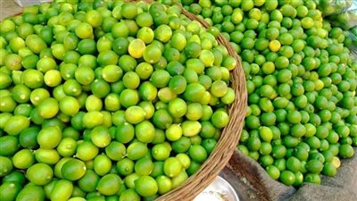 شعبة الخضراوات: ارتفاع أسعار الليمون في الأسواق بسبب تلف المحصول.. وتوقعات بتراجعها قريبًا