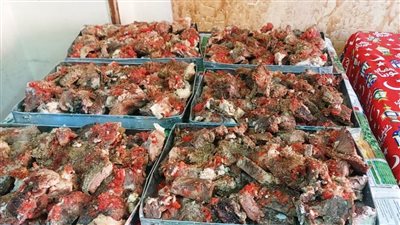 القومي للمرأة بأسوان يواصل توزيع 500 وجبة غذائية في قرى حجازة وسبيل العرب