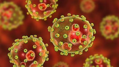 تحذيرات من حمى لاسا في بريطانيا بعد رصد حالة إصابة لمسافر عائد من نيجيريا