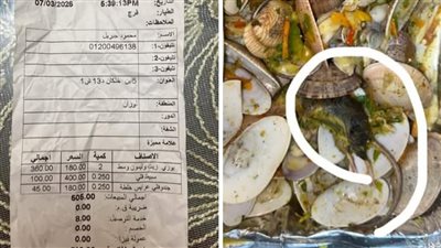 فتاة تشكو من وجود فأر داخل وجبة سمك من مطعم في الإسكندرية