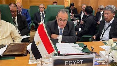 منظمة التعاون الإسلامي تعتمد مخرجات القمة العربية بالقاهرة وخطة إعادة إعمار غزة