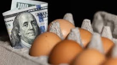 وزارة العدل الأمريكية تحقق في ارتفاع أسعار البيض