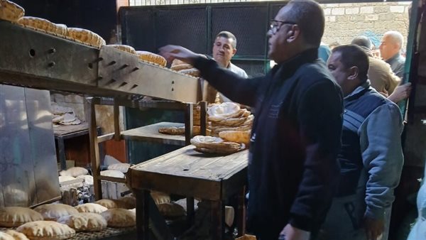 جانب من الحملات 