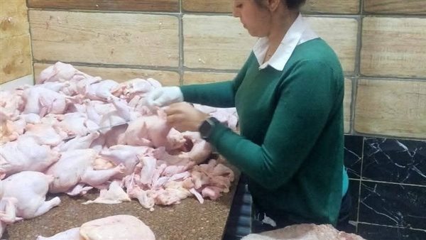 حملات تفتيشية بالمنيا