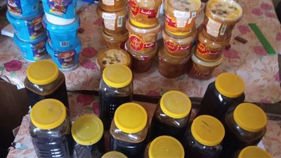 ضبط أغذية فاسدة وتحرير 20 محضرًا لمخالفات صحية في ببا ببني سويف