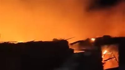 الكتاكيت ماتت.. حريق بمزرعة دواجن بقرية برما بالغربية 