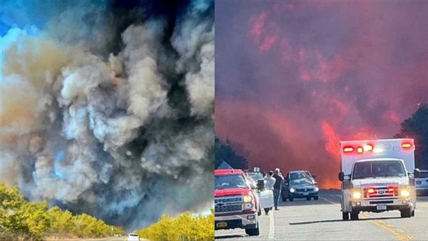 حرائق غابات جديدة