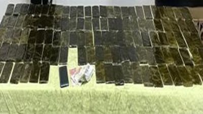 حشيش وشابو.. الأمن يضبط مخدرات بـ 9 ملايين جنيه بالدقهلية والجيزة | صور