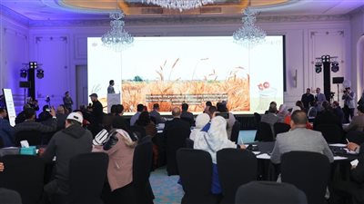 بالتعاون مع برنامج الأغذية العالمي.. ما أهداف مشروع الخبز الجديد الذي أطلقته وزارة التموين؟