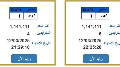 سعر موحد.. مزاد على لوحتين مرور بسعر 1،1 مليون جنيه