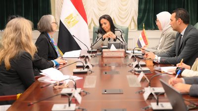 التضامن والاتحاد الدولي للصليب والهلال الأحمر يبحثان سبل الدعم الطبي والإنساني لمصابي غزة ومرافقيهم في مصر