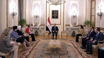 رئيس الوزراء: 70% من المساعدات المقدمة لسكان غزة جاءت من مصر منذ بداية الأزمة