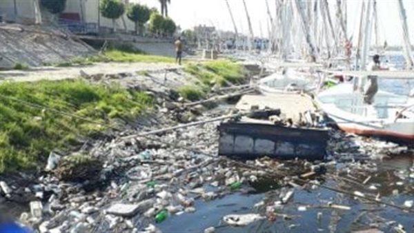 إلقاء القمامة في