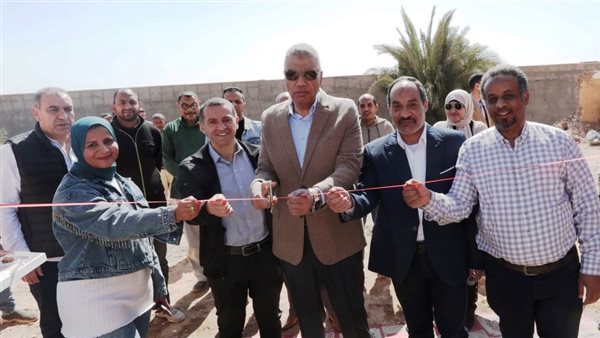 محافظ أسوان