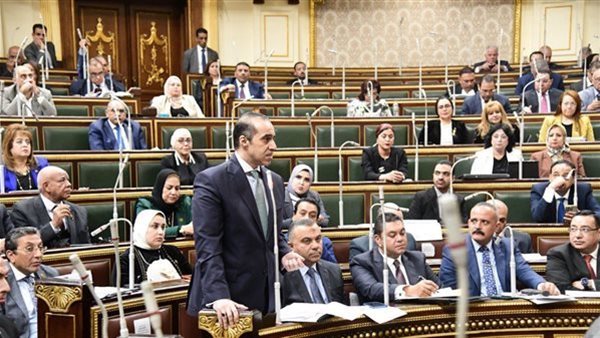 المستشار محمود فوزي