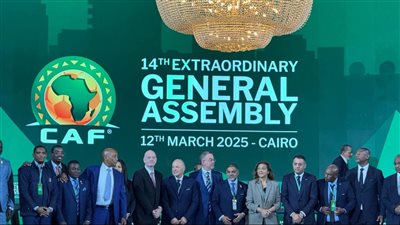 رسميًا.. أبو ريدة يحتفظ لمصر بمقعدها في فيفا