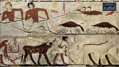 المتحف المصري بالتحرير يعرض لوحة لـ مناظر الحياة البرية في عصر الدولة القديمة 