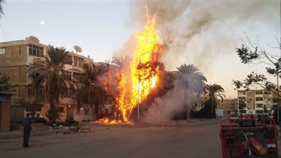 السيطرة على حريق في مجموعة من أشجار النخيل بحي فيصل بالسويس