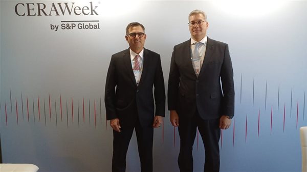 كريم بدوي - وزير