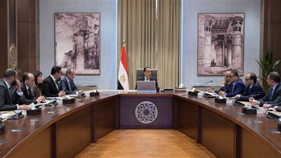 رئيس الوزراء يوجه بتشكيل مجموعة عمل من الوزارات والجهات المعنية لسرعة تفعيل منصة عقارية للأجانب