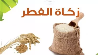 هل يجوز تأخير إخراج زكاة الفطر لـ بعد صلاة العيد؟.. الإفتاء ترد 