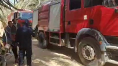 حريق يلتهم مزرعة نخيل في الوادي الجديد.. والحماية المدنية تسيطر عليه| بث مباشر 