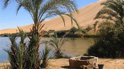 إصابة سائح بكسر داخل أحد الفنادق بطريق الواحات