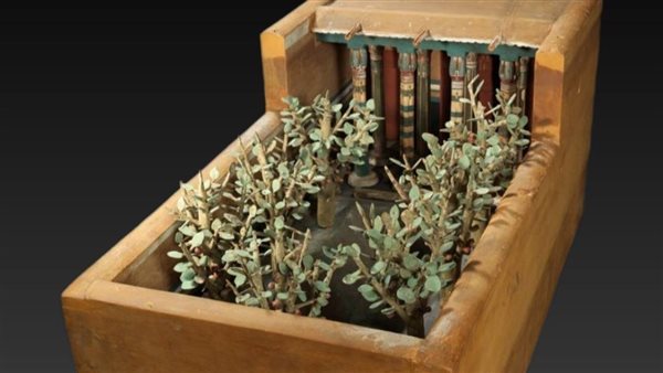  نموذج زراعة المصري