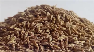 عشبة طبيعية تساعد على النوم بشكل جيد.. تعرف على فوائدها