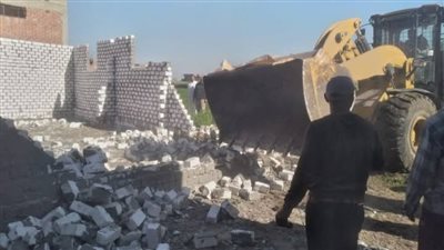 إزالة 194 حالة تعد بمساحة إجمالية 9747 مترا على أراضي أملاك الدولة بالبحيرة