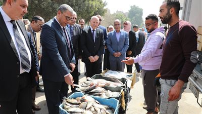 محافظ القاهرة يتفقد عددا من أسواق ومنافذ بيع السلع بالمنطقة الجنوبية| صور 